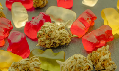 Where to Buy CBD Edibles for Relaxation and Everyday Calm?