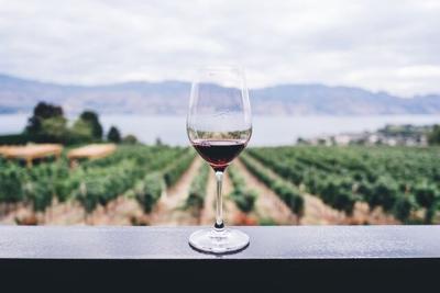 Health and Nutrition Facts of Drinking Wine