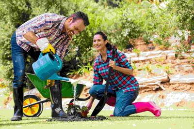 ways to improve the appearance of your garden