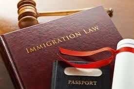 When to Hire a Deportation Lawyer: A Guide to Removal Proceedings