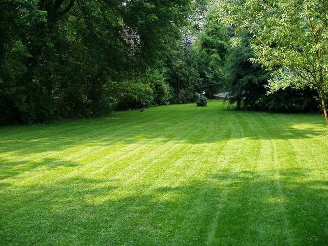 How To Remove Rocks From the Yard Before Mowing The Lawn