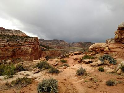 Settler's Junction RV Resort Review: Is The Southern Utah RV Park Worth it in 2026?