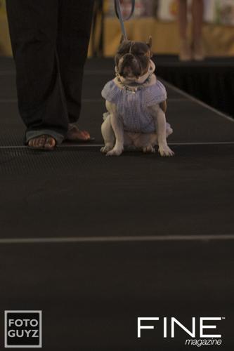 Photos by Will Grayson of Foto Guyz