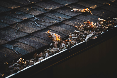 What Happens If You Skip Outdoor Maintenance?