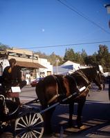 Holiday Fun in Julian