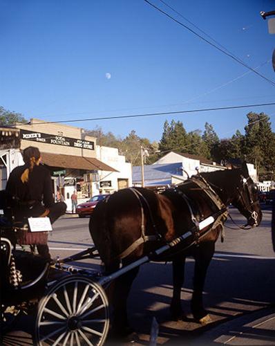 Holiday Fun in Julian