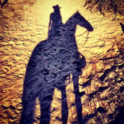 Horsing Around In San Diego