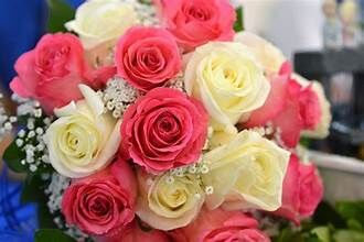 Pink and White Roses: Honoring the Memories of Loved Ones