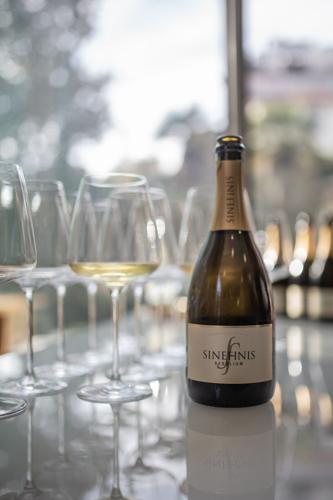 When Art and Wine Meet on the Collio and Brda Borderlands