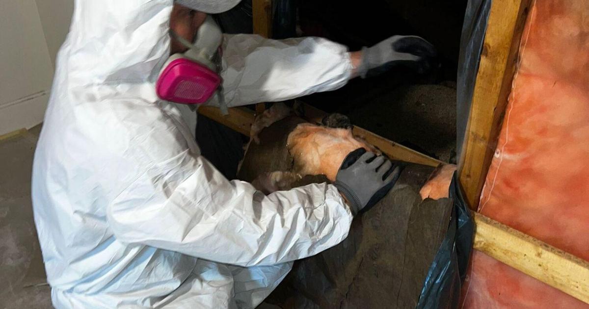 Restoration Mate: Protecting Canadian Homes and Preparing for the Unexpected | Featured Restoration Mate: Protecting Canadian Homes and Preparing for the Unexpected | Featured