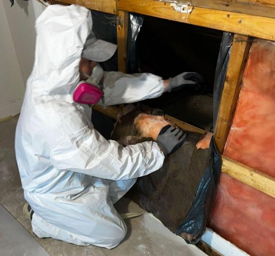 Restoration Mate: Protecting Canadian Homes and Preparing for the Unexpected