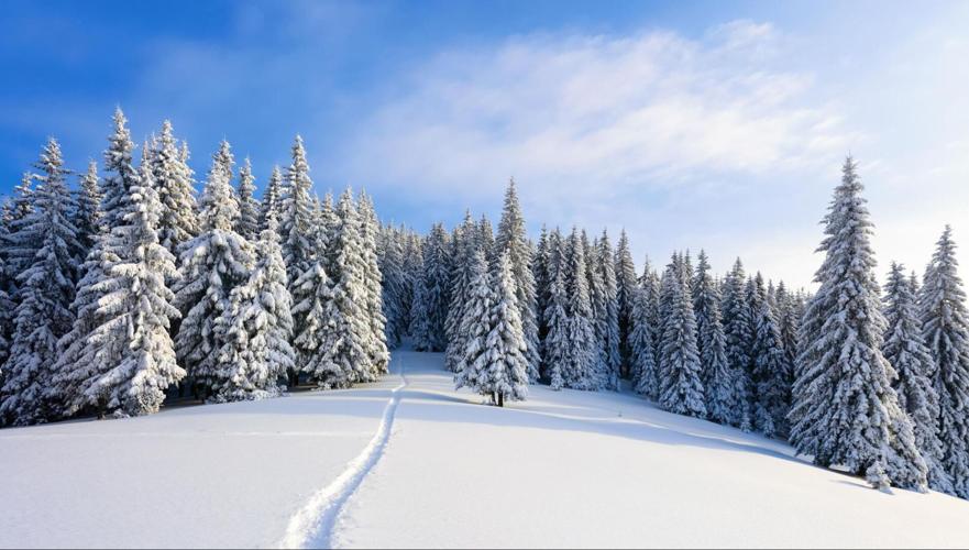 Transformative Techniques in Winter Photography: A Detailed Guide