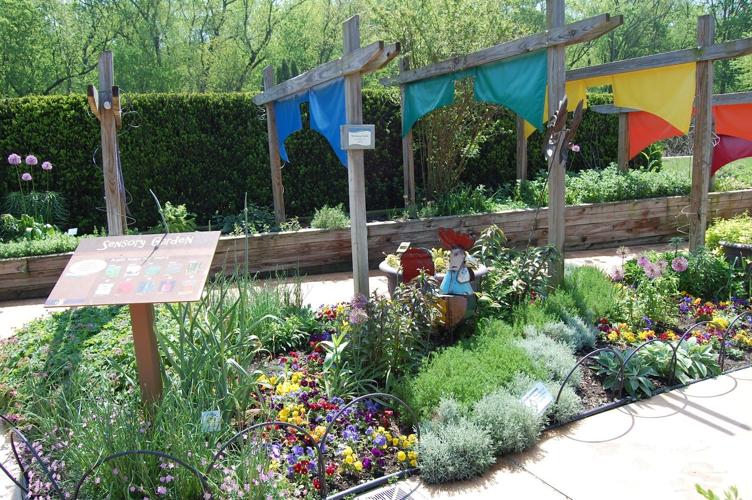 Ideas for a Kid-Friendly Outdoor Oasis