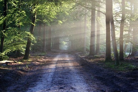 What Types of Books Truly Resonate with People on a Path to Healing?