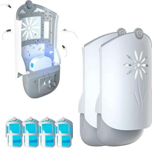 The 10 Best Gnat Killers to Eliminate Fungus Gnats for Good