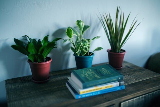 Trendy Summer Home Accessories