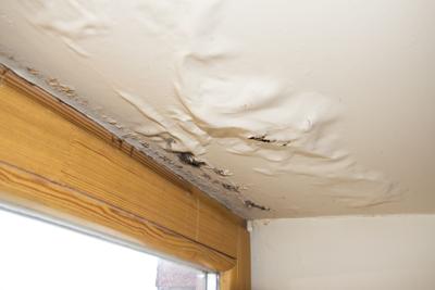 8 Ways to Prevent Future Water Damage to Your Home