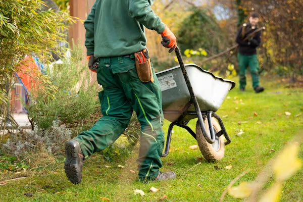 How to Start a Career by Taking Care of Yards and Green Spaces