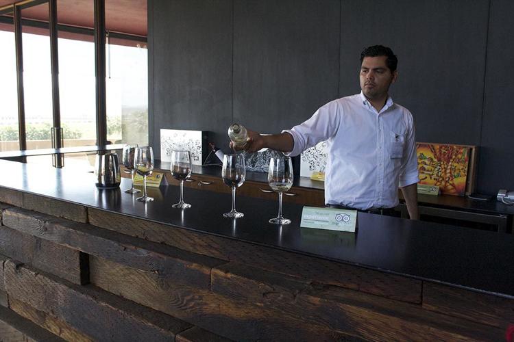 Valle de Guadalupe's Best Wineries Revealed