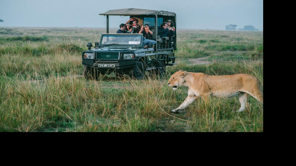 The Quiet Logic Behind a Properly Luxury Safari