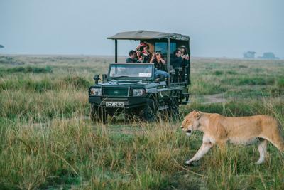 The Quiet Logic Behind a Properly Luxury Safari