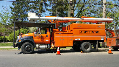 Well-Equipped Tree Removal with 100% Customer Satisfaction from Residential & Commercial Properties