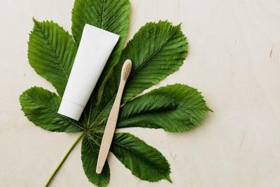 Organic vs Artificial-Based Toothpaste: Which is Better?