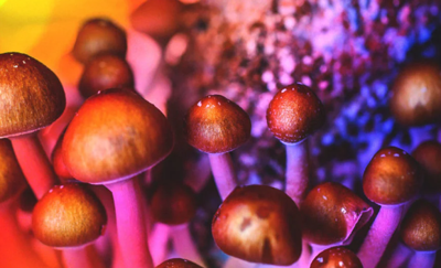 Discover the Benefits of Psilocybin and Why PsychoactiveStore.com is Your Trusted Source