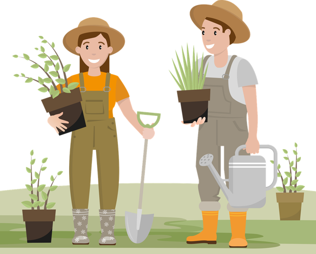 Creative Design Ideas For Your Dream Garden