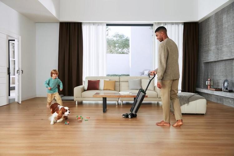 Luxury Home Care: Protecting Floors From Wet Pets