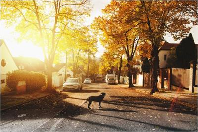 Pick the Right Neighborhood for Your Rental Property Business
