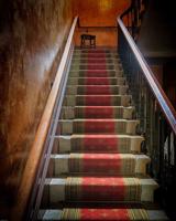 7 Brilliant Ways to Elevate Your Home's Staircase Interior Design