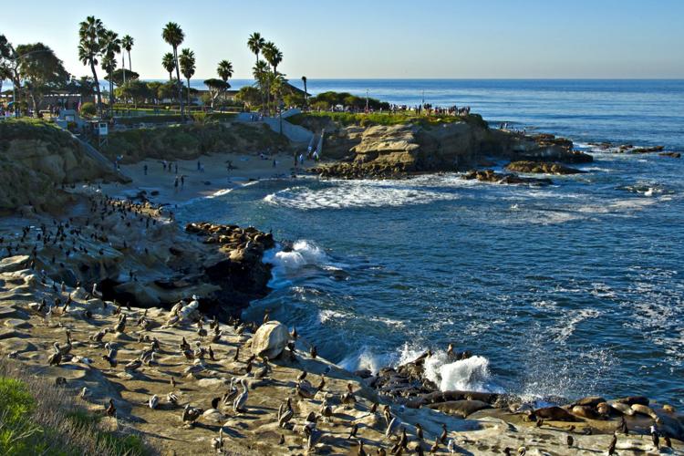 Things to do in La Jolla: Crown Jewel of San Diego
