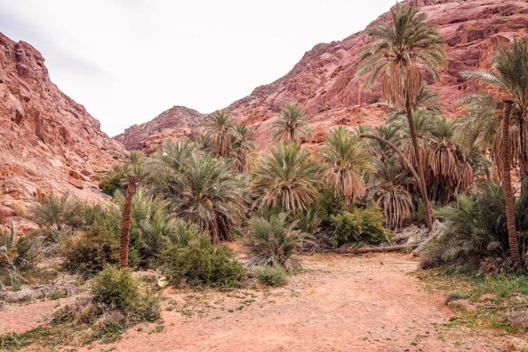 Palm Springs, Now: What’s Quietly New and Worth Noticing