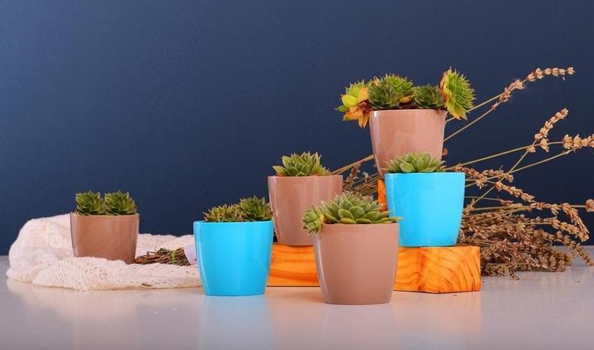 Four Renovations That Will Make You Love Your Backyard