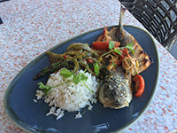 Coasterra's Modern Spin on Mexican Food