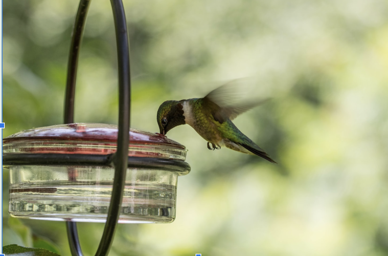 Add Personality to Your Outdoor Space with These 6 Decorative And Functional Accents