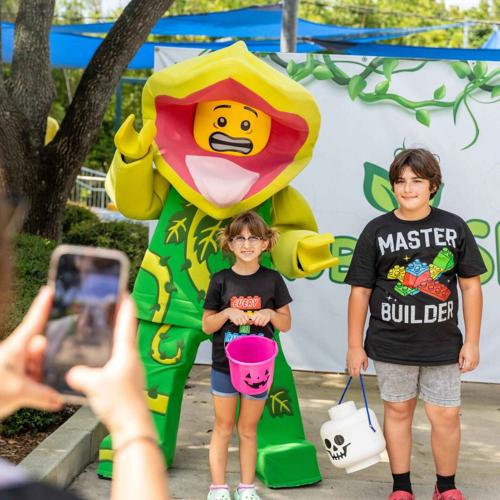 Best Halloween Theme Park Adventures for the Family