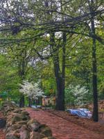 Is Chapel Hill North Carolina Your Next Home?
