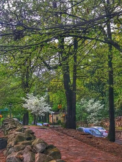Is Chapel Hill North Carolina Your Next Home?