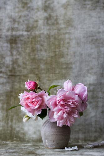 Five Spring Cleaning Tips