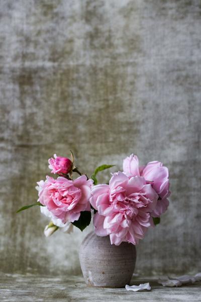 Five Spring Cleaning Tips