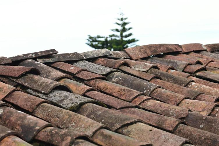 8 Warning Signs That A Home Roof May Need Professional Repair