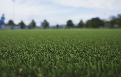 Turf such as this can be a great option for your lawn