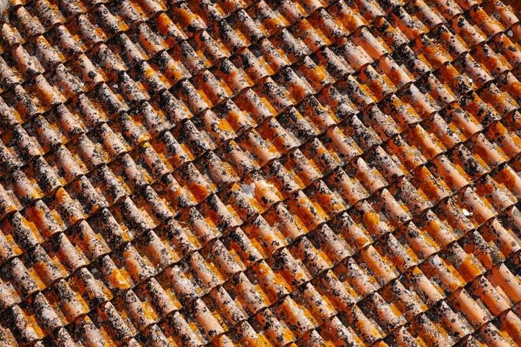 Shingles on a roof are one way to tell whether your roof needs repair