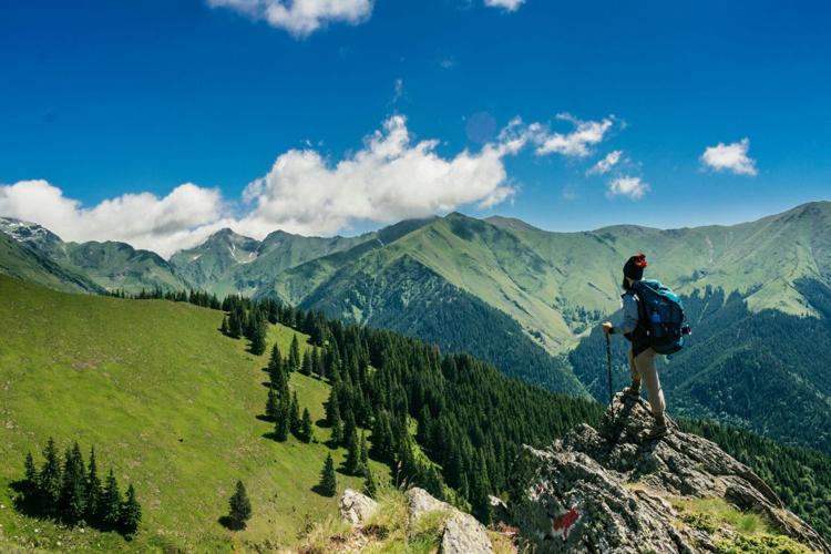 What do you Need when Traveling