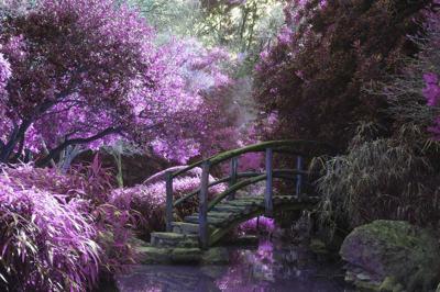 How to Enhance Your Garden’s Landscape Design