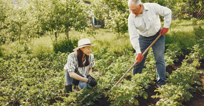 How to Create a Functional Garden at Home