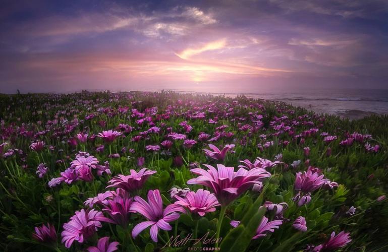 Matt Aden Photography: Capturing the Natural Beauty of Southern California