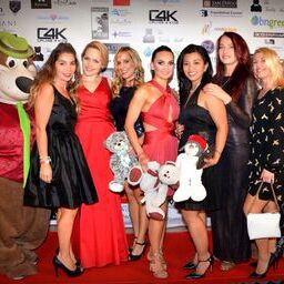 2015 Teddy Bear Ball